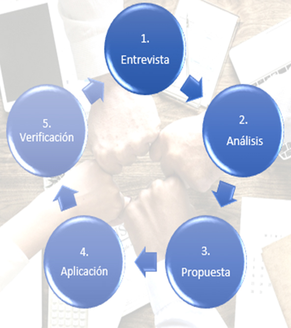procedimiento de coaching